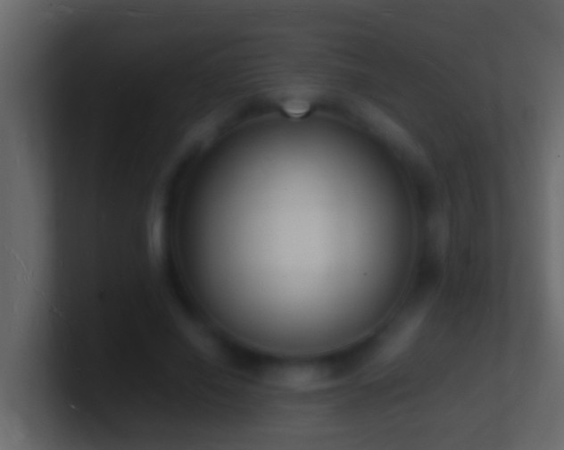 X0000101480638200807071505