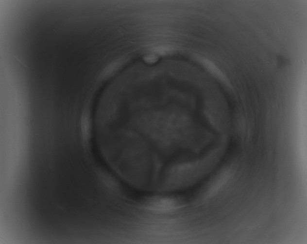 X0000101480640200807071505