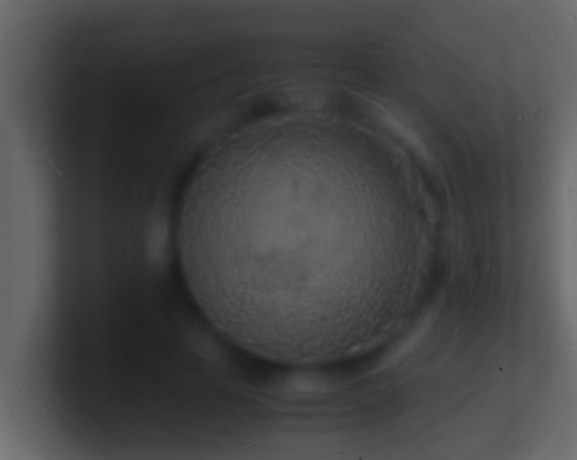 X0000101480641200807071505