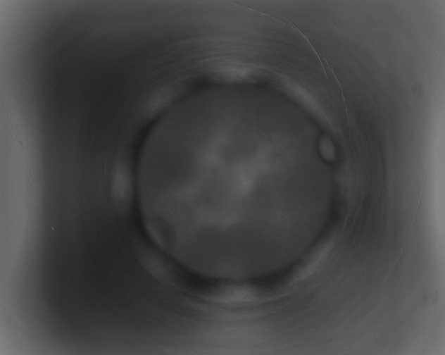 X0000101480642200807071505