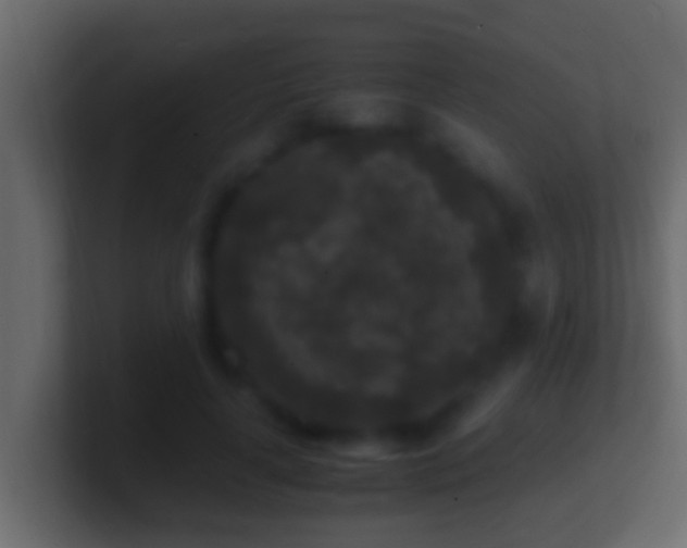 X0000101480643200807071505