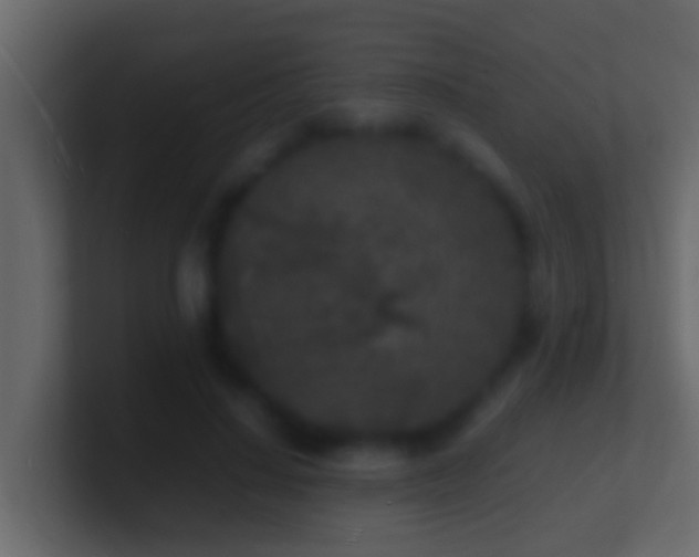 X0000101480644200807071505