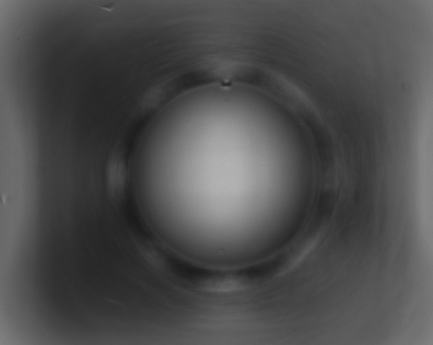 X0000101480646200807071505