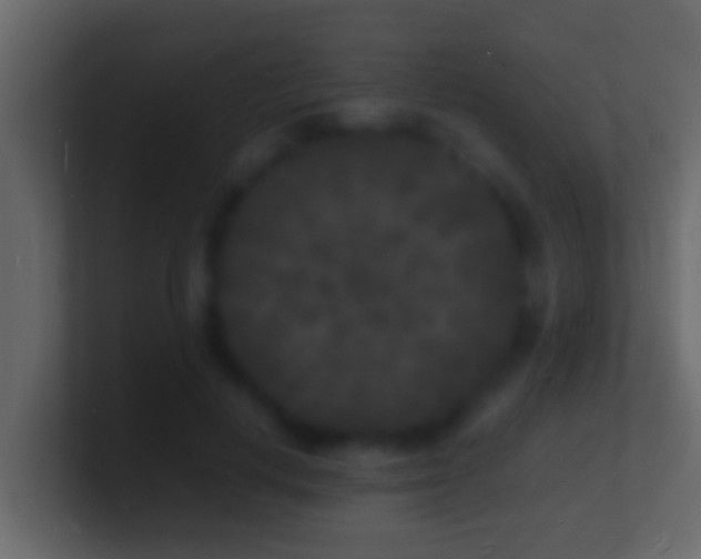 X0000101480648200807071505