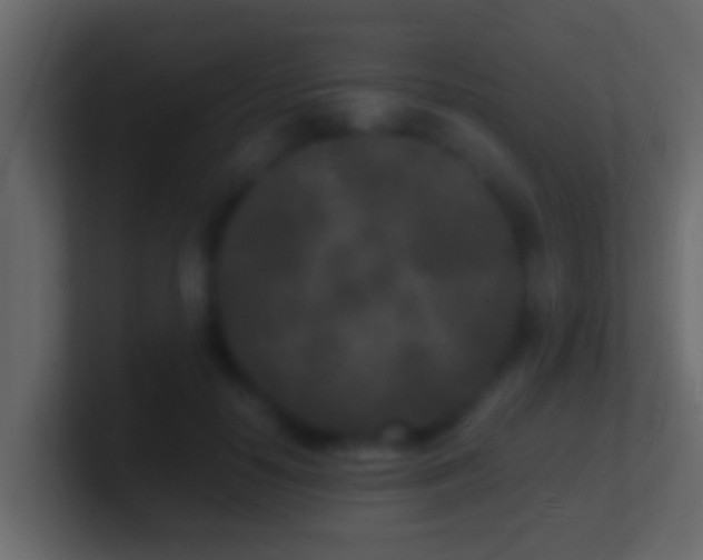 X0000101480650200807071505
