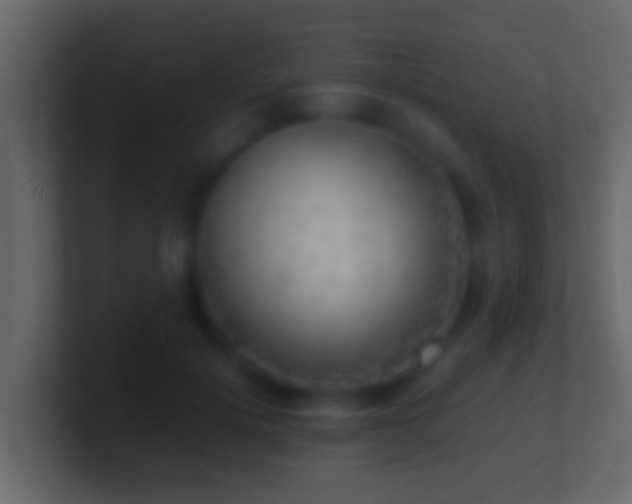 X0000101480652200807071505
