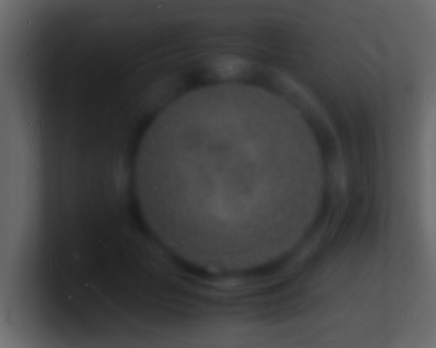 X0000101480653200807071505