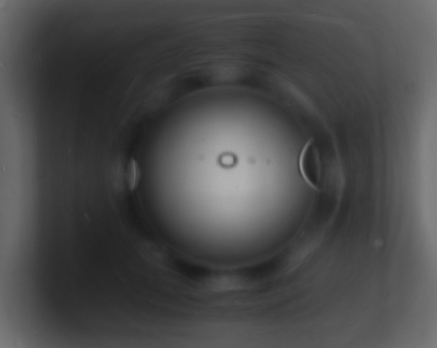 X0000101480655200807071505