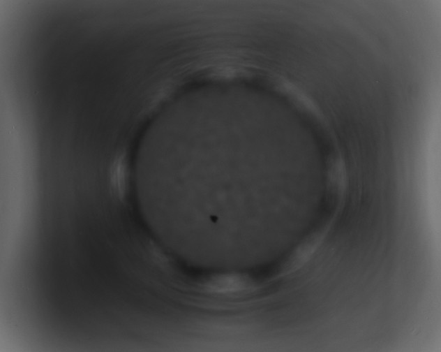 X0000101480659200807071505