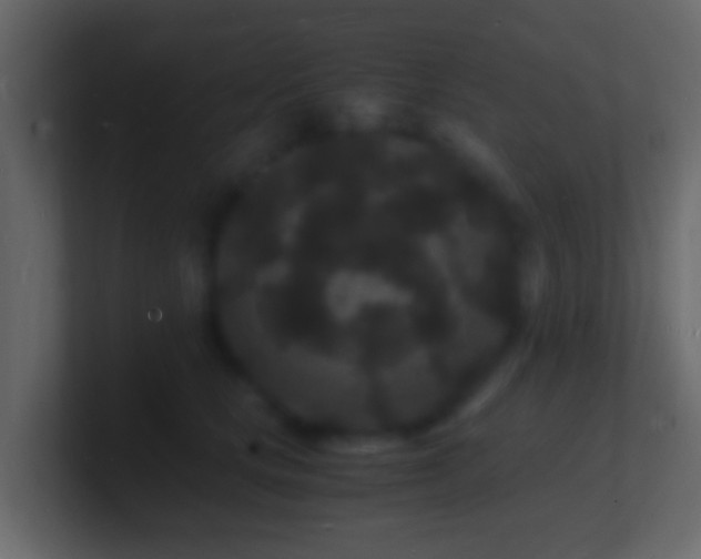X0000101480661200807071505