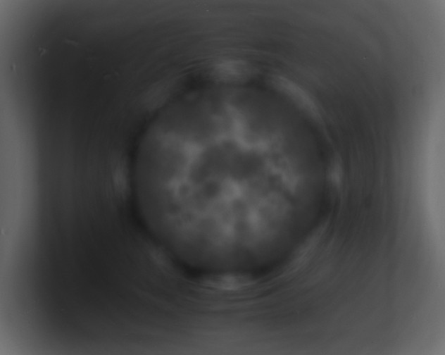X0000101480663200807071505