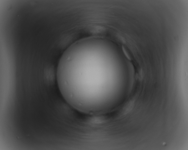 X0000101480664200807071505