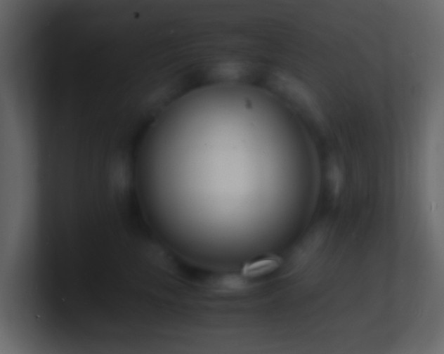 X0000101480665200807071505