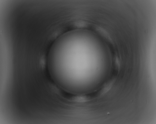 X0000101480668200807071505