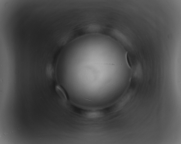 X0000101480669200807071505