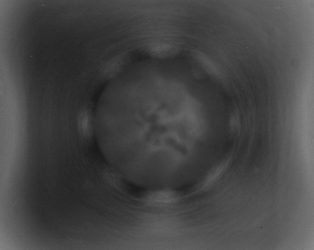 X0000101480671200807071505