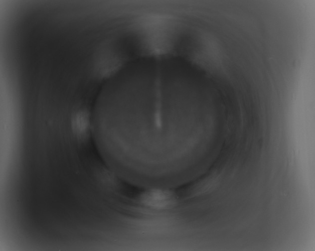 X0000101480672200807071505