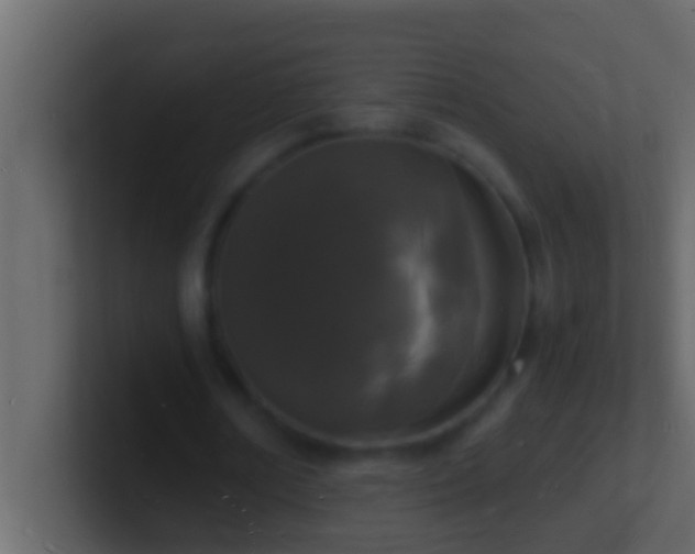 X0000101480674200807071504