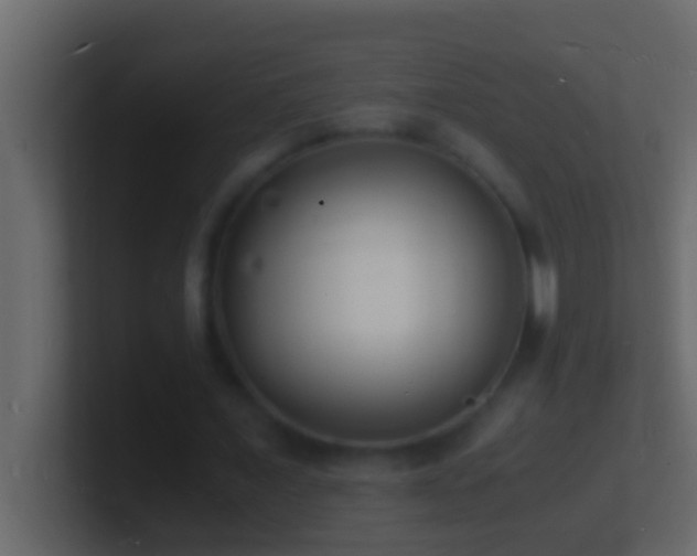 X0000101480675200807071504