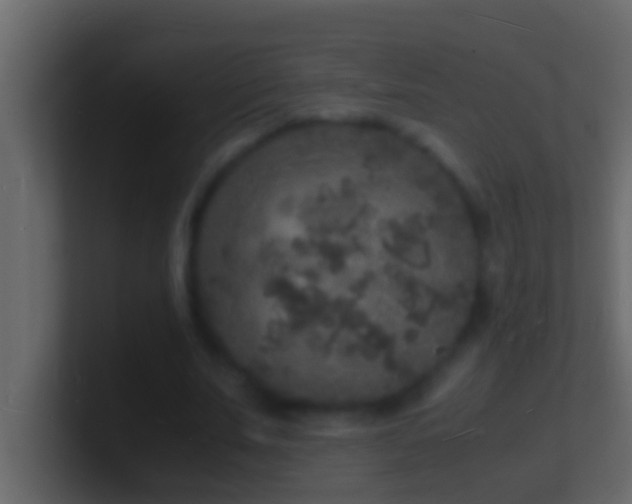 X0000101480679200807071504