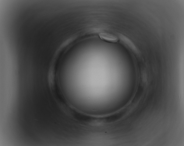 X0000101480680200807071504