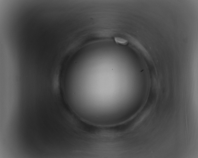 X0000101480681200807071504