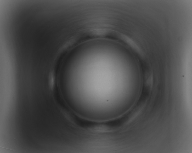 X0000101480685200807071504