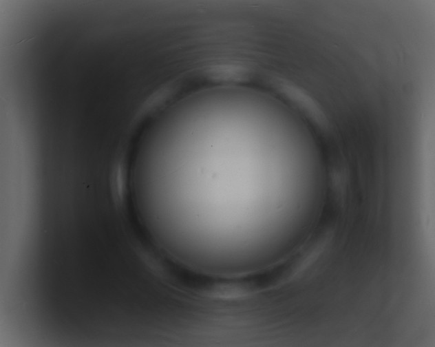 X0000101480686200807071504