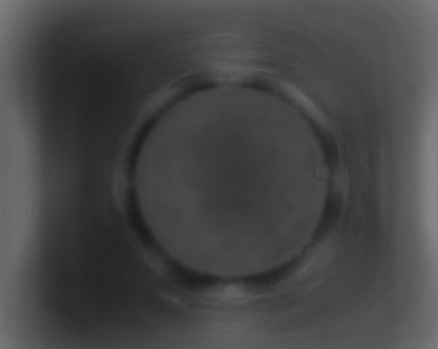 X0000101480687200807071504