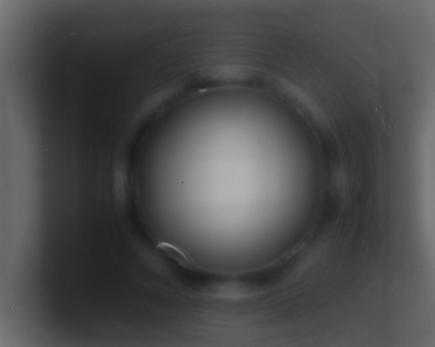 X0000101480688200807071504