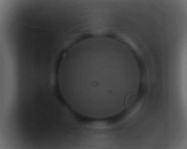 X0000101480689200807071504