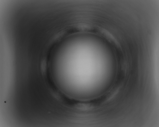 X0000101480690200807071504