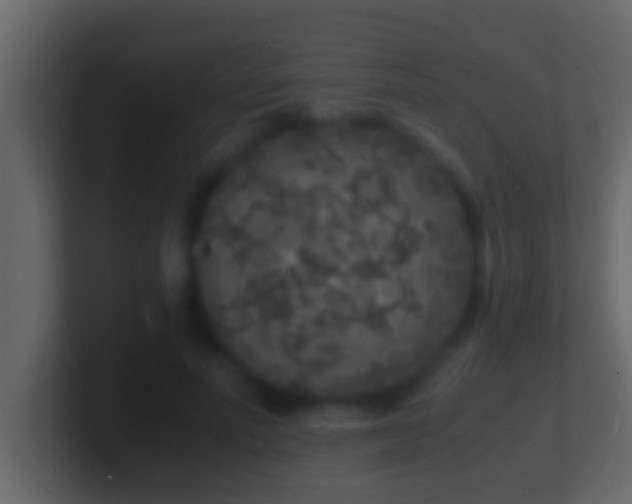 X0000101480691200807071504