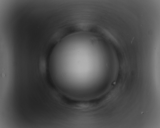 X0000101480693200807071504