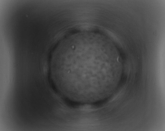 X0000101480695200807071504