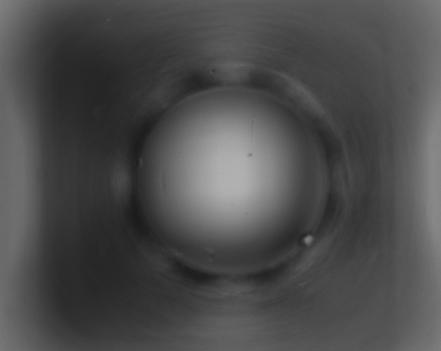 X0000101480697200807071504