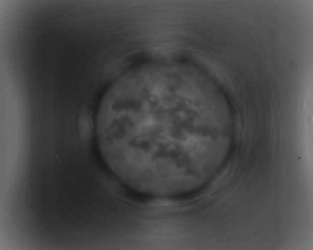 X0000101480699200807071504