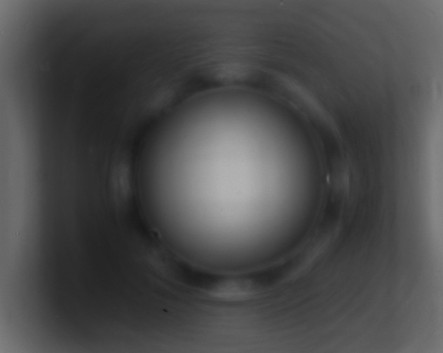 X0000101480700200807071504
