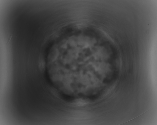 X0000101480703200807071504