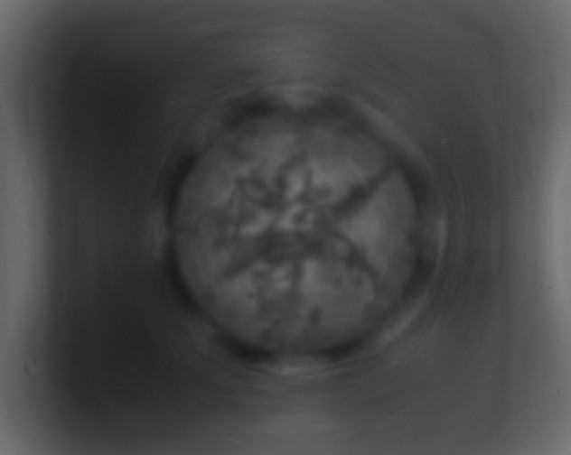X0000101480707200807071504