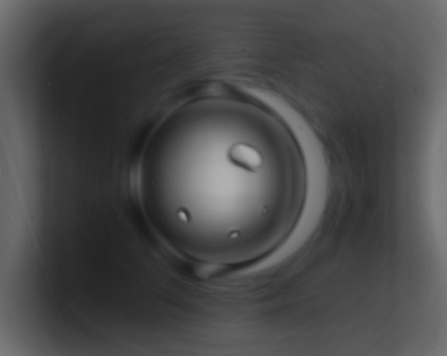 X0000101480708200807071504