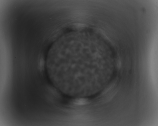 X0000101480711200807071504