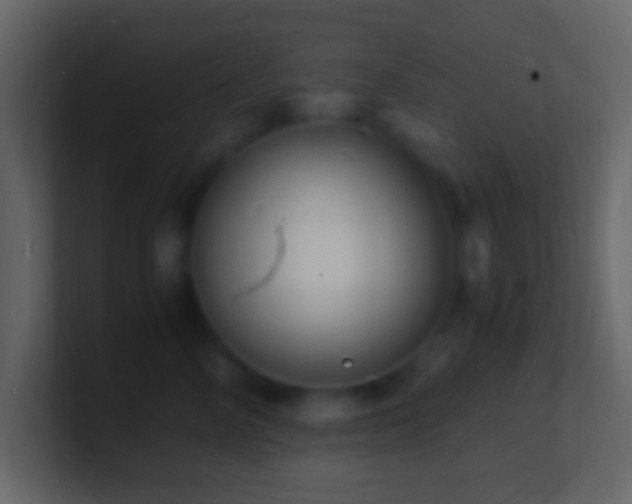 X0000101480714200807071504
