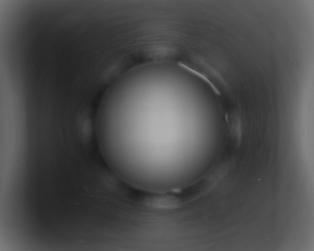 X0000101480716200807071504