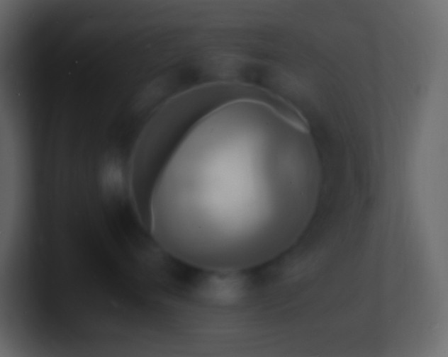 X0000101480720200807071504