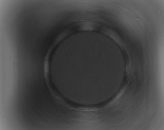 X0000101480722200807071503