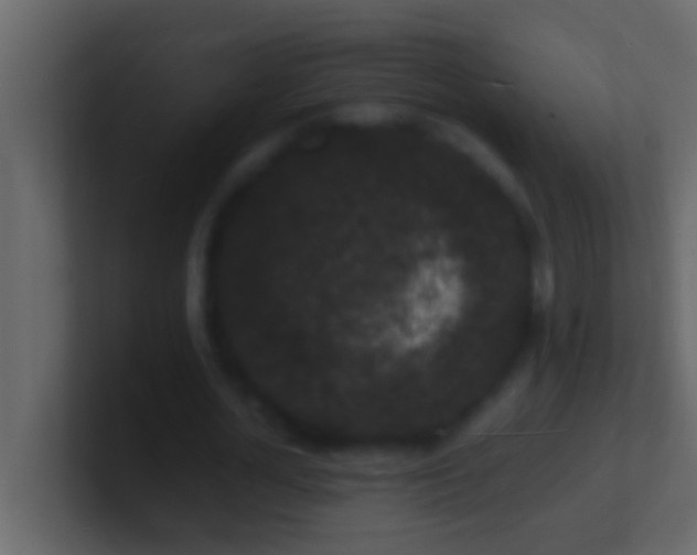 X0000101480724200807071503