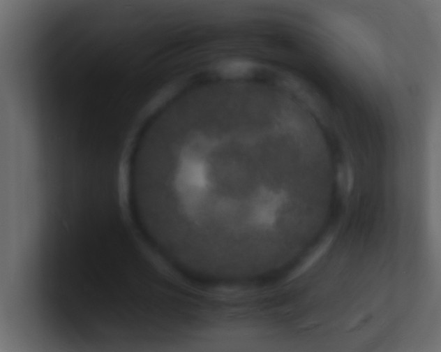 X0000101480725200807071503