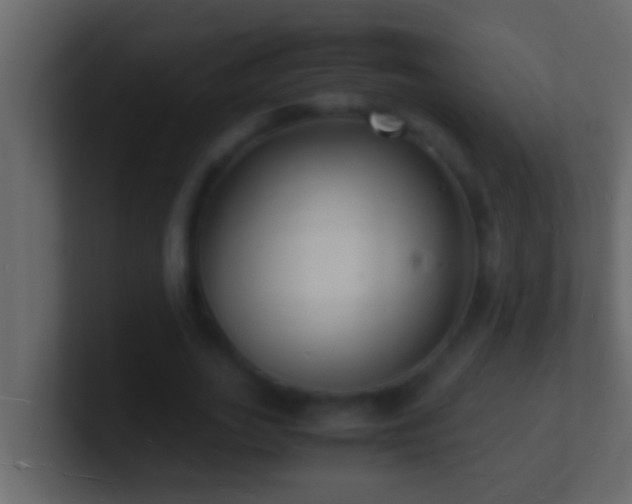 X0000101480727200807071503