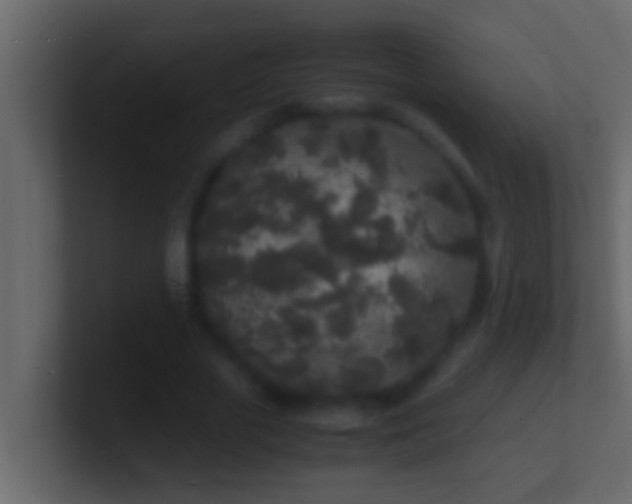 X0000101480729200807071503